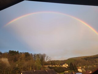 WhatsApp Bild 2023-04-23 um 20.26.40