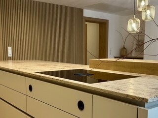 Modern Alp Apart - Bora Kochfeld mit Steinplatte