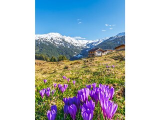 Frühling_Märzengrund_©FranzKupfner