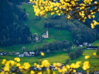 Frühling Fügen_©FranzKupfner