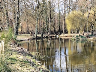 Ferienwohnung Schnega Umgebung 28