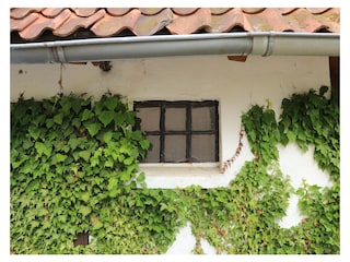 Ferienwohnung Schnega Außenaufnahme 4