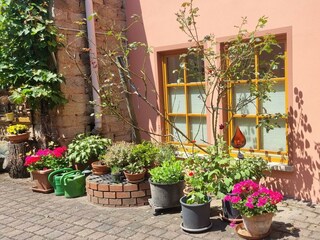 Michel_Living_Ferinwohnungen_Abtweiler_Im Hof_Auss