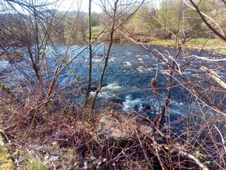 IMG-20200406-WA0011