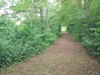 Wanderweg um den Weiher