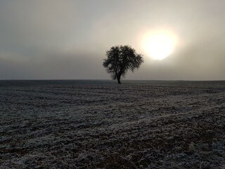 ein kalter Wintertag