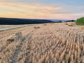 Michel_Living_Abtweiler_Ferienwohnung_Landschaft_N