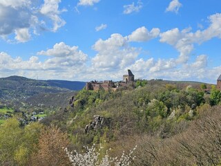 Eifelblick von der benachbarten Jugendherberge