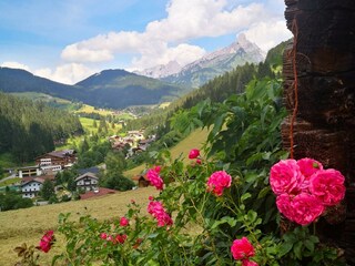 Idyllischer Ausblick auf Neuberg