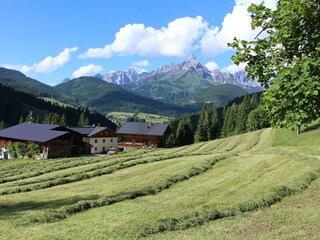 Bauernhofurlaub zur Heuerntezeit