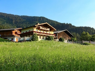 Bauernhof in Naturidylle umgeben von grünen Wiesen