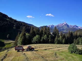 Heuernte am Richlegghof in Filzmoos