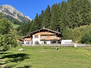 IMG_1336