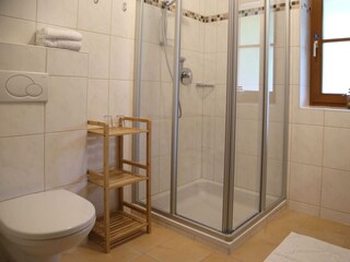 Apartment König Dachstein