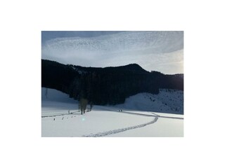 Langlaufloipe neben unserem Haus