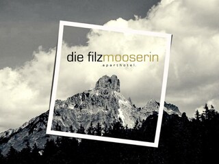 Die Filzmooserin