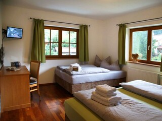 Apartment König Dachstein