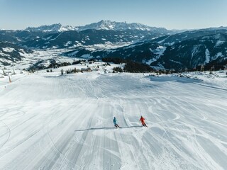 DJI_0365