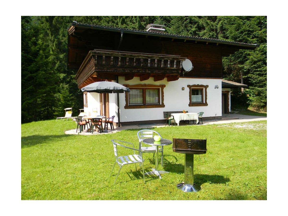 Waldwinkl im  Sommer