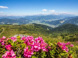 Flachau_Sommer_2k15 (23 von 46)