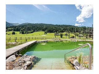 Teich9