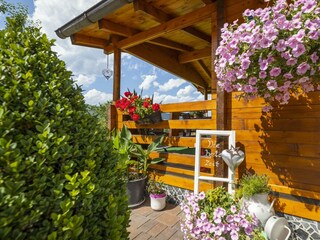 Außenaufnahme-Garten