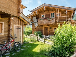 AussenGoasSommer1