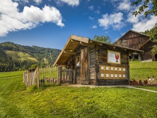 20190816_PrechtlhofAussen_077_klein