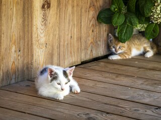 20230906_PrechtlhofAussen02_038_klein