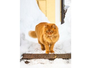 20190131_PrechtlhofAussenWinter_293