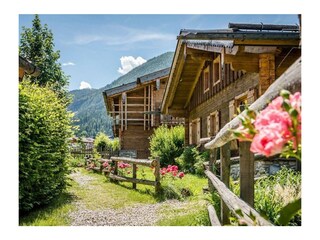 AussenKitzstodlSommer