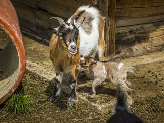 20190816_PrechtlhofAussen_086_klein