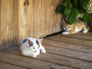 20230906_PrechtlhofAussen02_038_klein