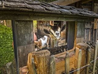 20190816_PrechtlhofAussen_093_klein