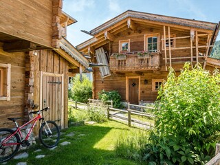 AussenGoasSommer1