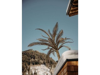 Hotel_Sign_GoldenePalme