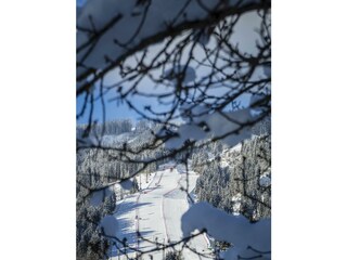 _DSC1353