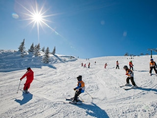 Ikarus_0625-1724149868-O