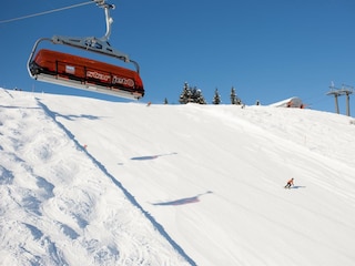 20130228_martinlugger_MLUG7677