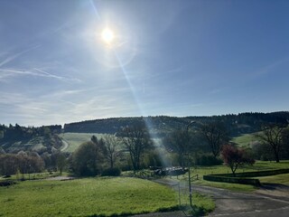 IMG_4514