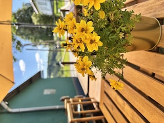 Garten und Terrasse der Pension