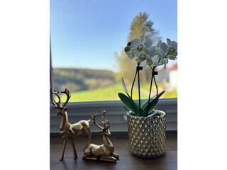 little harmony room