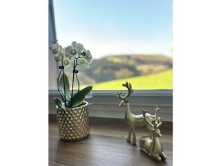 tiny harmony room