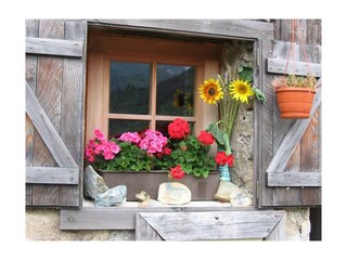 Pension-Lothringerhof-Dorfgastein-Blumenfenster