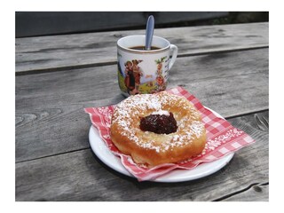 Appartement-Praeau-Gut-Dorfgastein-Krapfen