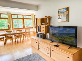Sat-TV
