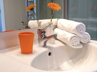 Badezimmer / Apartments Davydov / Bad Hofgastein