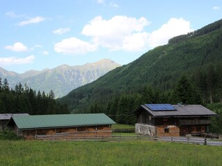 IMG_8684