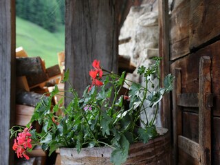 IMG_8837