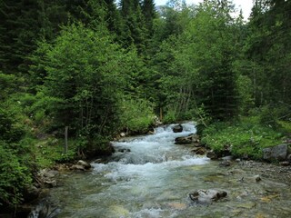 IMG_8848